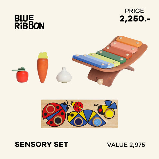 Blue Ribbon Toys Sensory Gift Set