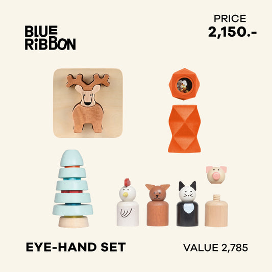 Blue Ribbon Toys Eye-Hand Coordination Set